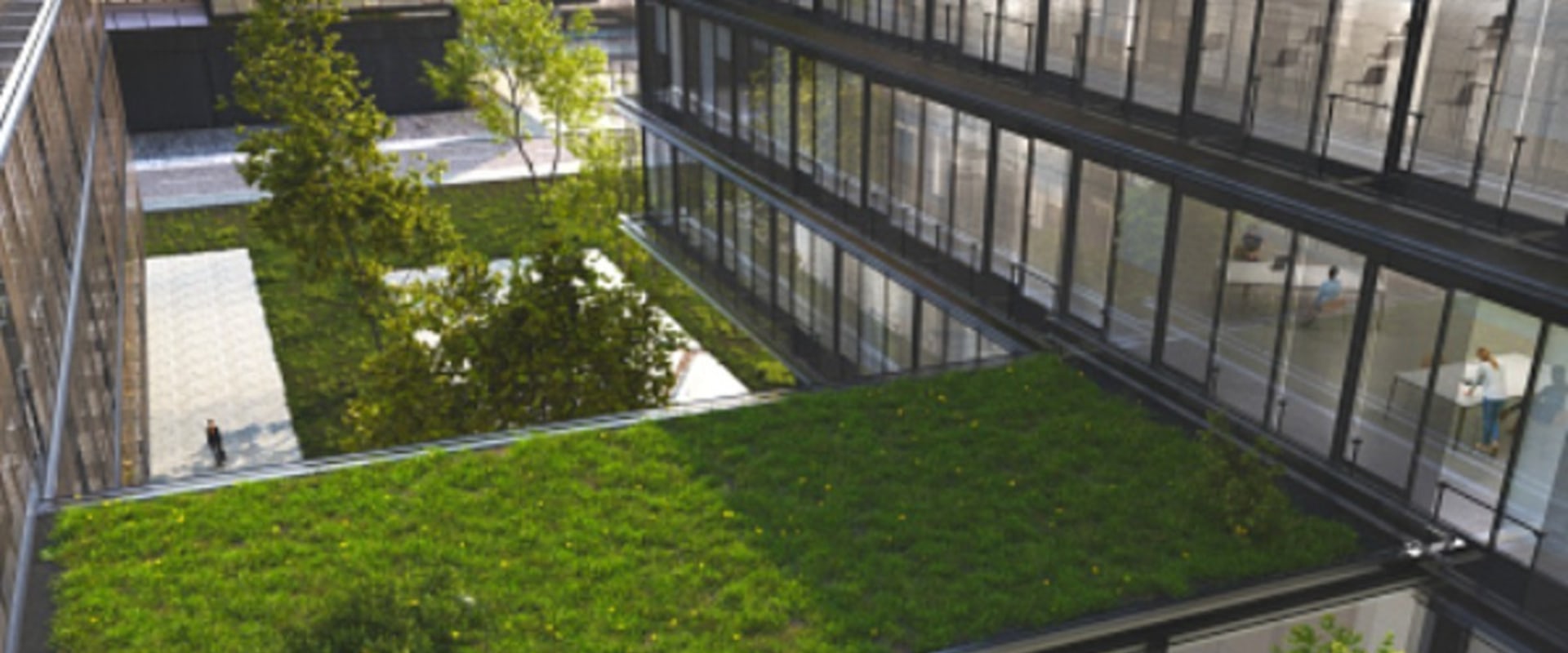 What is the difference between green and sustainable design?
