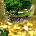 What are some sustainable examples?