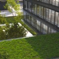 What is the difference between green and sustainable design?