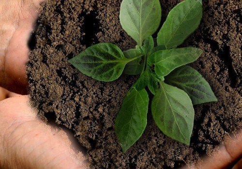 What are the main principles of sustainable development?