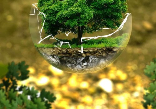 What are some sustainable examples?
